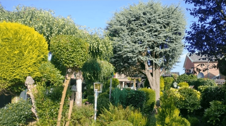 Tuinonderhoud image 4