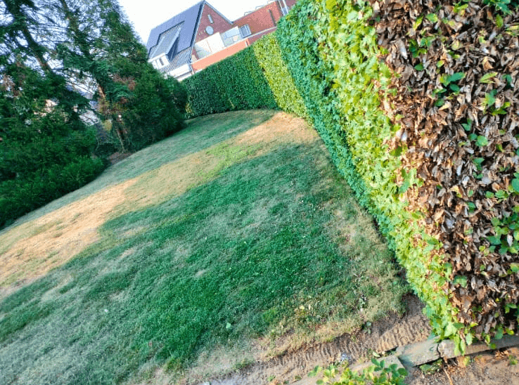 Tuinonderhoud image 6